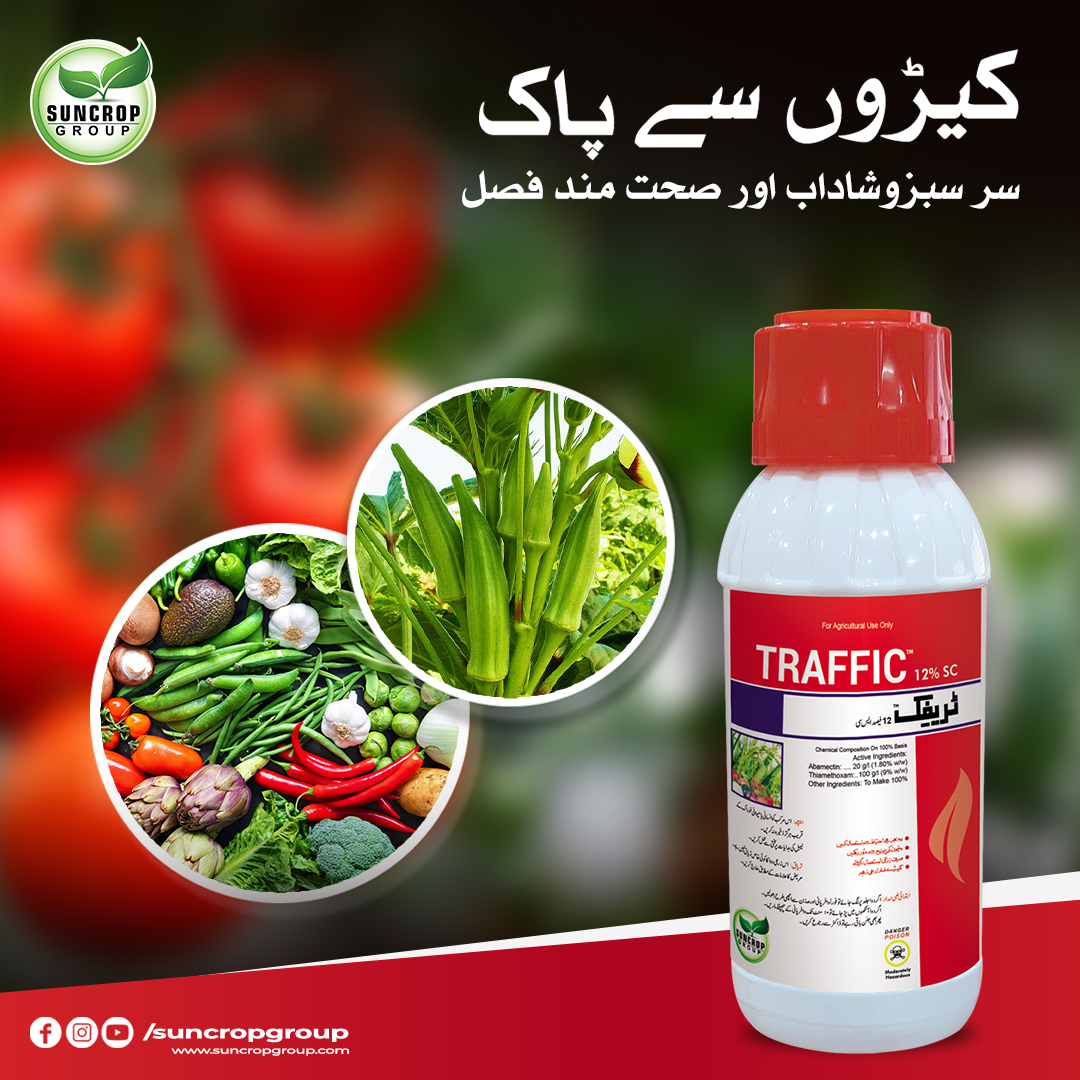 suncrop_group's tweet photo. فصل میں رس چوس کیڑوں کے خاتمہ کے لئے سن کراپ گروپ کا "ٹریفک" اسپرے کریں.
مزید معلومات کے لیے ہماری ہیلپ لائن پر فری کال کریں.
 ہیلپ لائن:080058000
#traffic #onion  #trafficMedicine #development #agriculture #suncrop #farmers #bestquality #Pakistanfarming 
https://t.co/gPvQYv8DH3 https://t.co/IgXIPXulPb