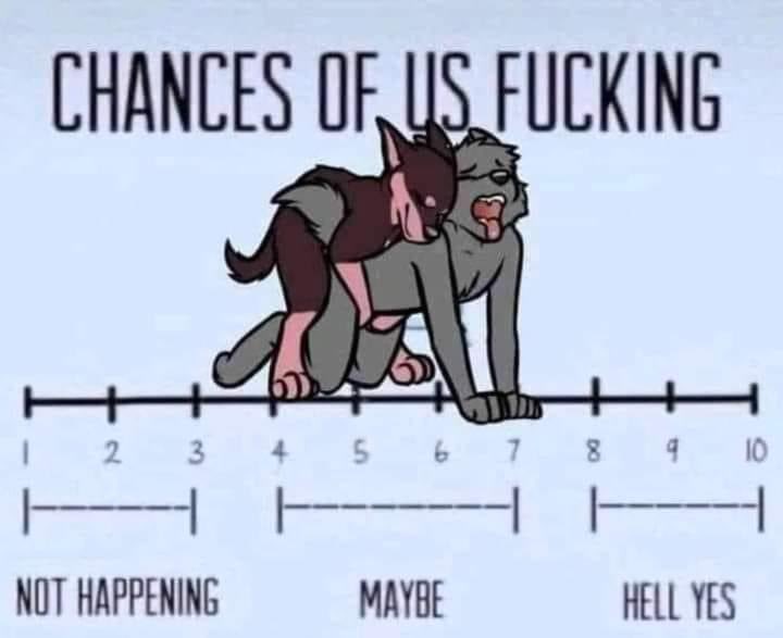 I will try it uwu stolen from many I am quite picky will reply with answers when I wake up <3