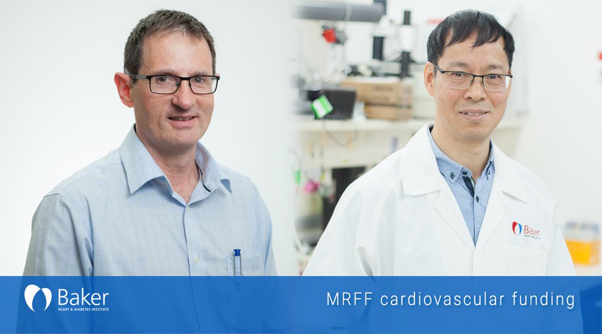 Congrats Prof David Kaye & A/Prof Bing Wang for being granted $1million in #MRFF funding to investigate the development of ASK1 inhibitors for the treatment and management of #HFpEF. Exciting #heartfailure #research. baker.edu.au/news/institute… @OzCvA @AlfredHealth @MonashUni