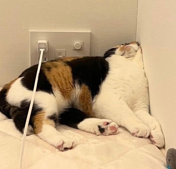 chrismen67's tweet photo. MERCREDI MATIN #Moude 😞🥱 https://t.co/FHAapkRdCl