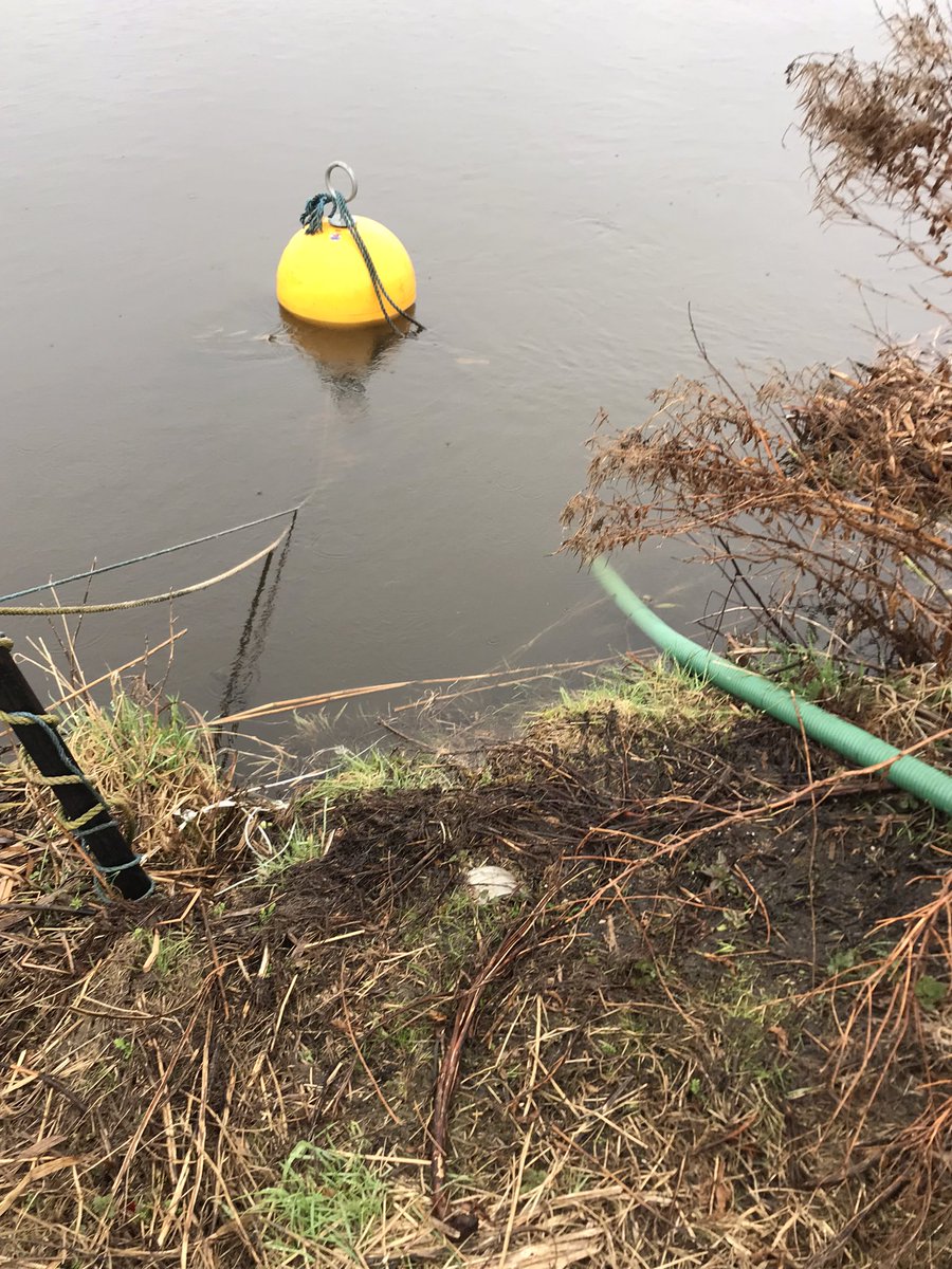 Jim Scarratt tweet media