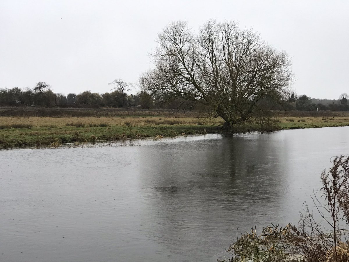Finally filling the reservoir from river water on Monday after 60mm rain so far this month. The river is now almost over the bank, I still think we should have been filling when it was 6-8” higher than normal, but the <a href="/EnvAgency/">Environment Agency</a> know best,🤣🤦‍♂️ <a href="/KellyHewsonF/">Kelly Hewson-Fisher</a> <a href="/ukirrigation/">Melvyn Kay</a>