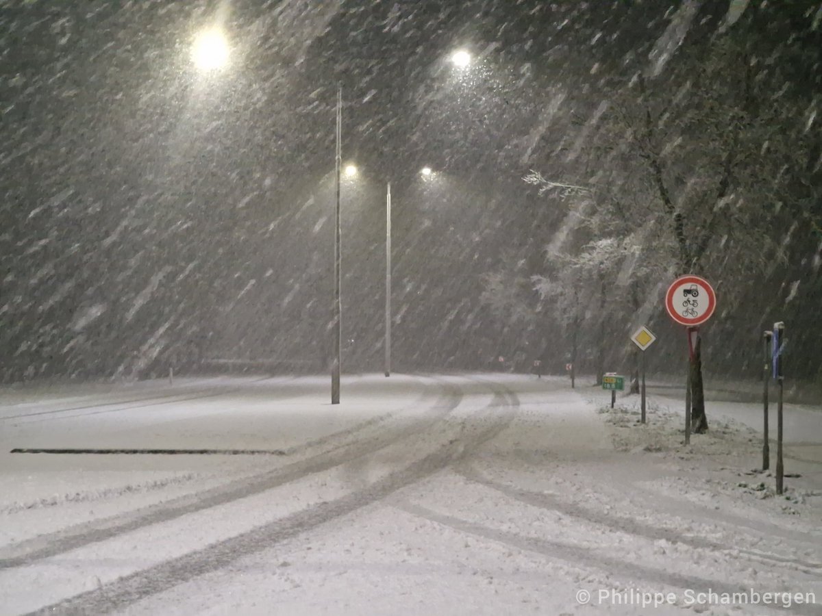 Philippe Schambergen tweet media