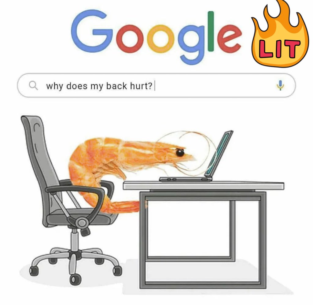 HuMenWhy's tweet image. #Google #meme #germany