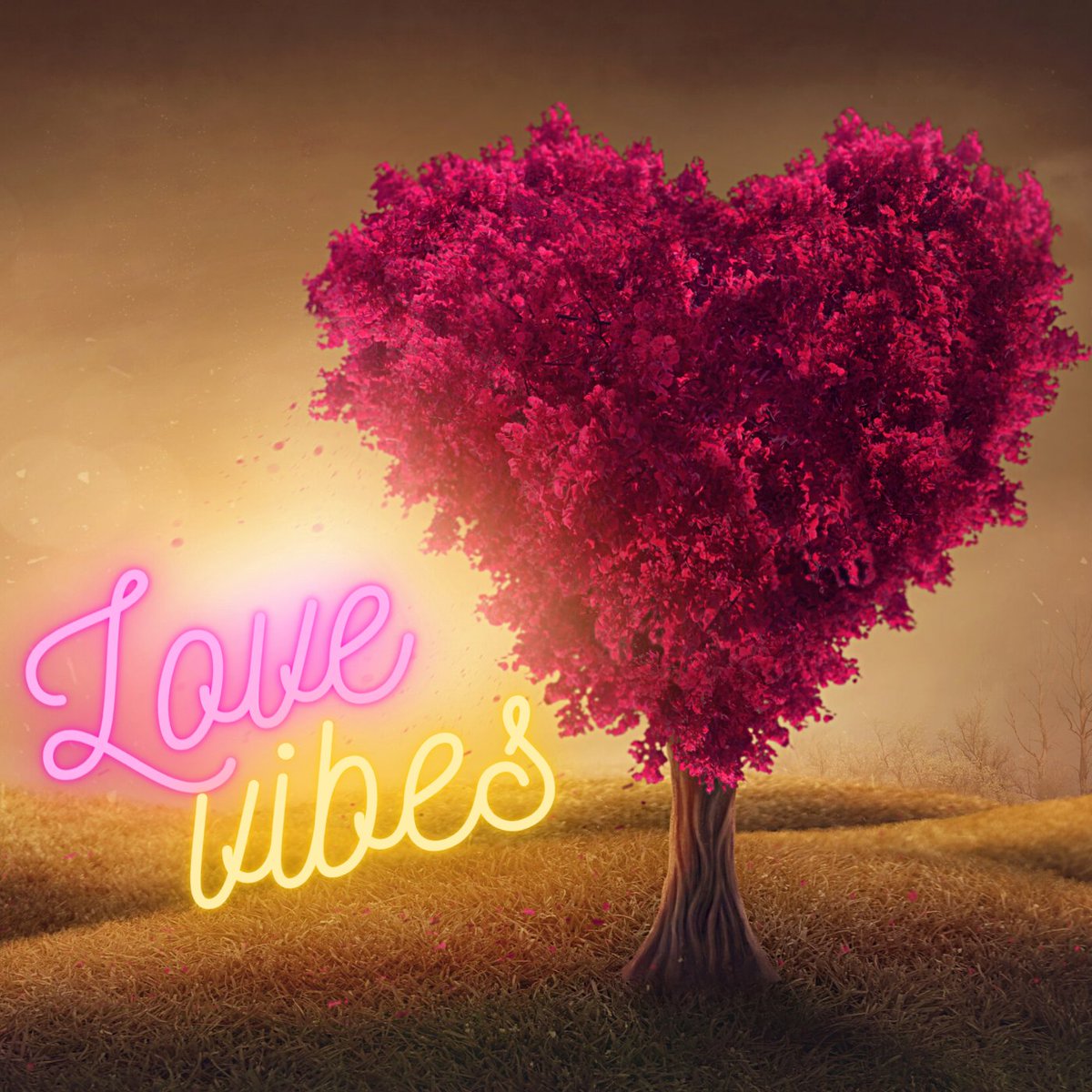 Who is up for some Love Vibes? check out this playlist:
#love #Newartistspotlight
@MIKsReaction  @AlessiaRaisi @LofthouseLeo @TheArgonautsWCS @ElectricSolPHX @EmmaDupere @sanohill @danyhorovitz @MelRandall11 @AgingTeenIdol 
open.spotify.com/playlist/4DDfH…