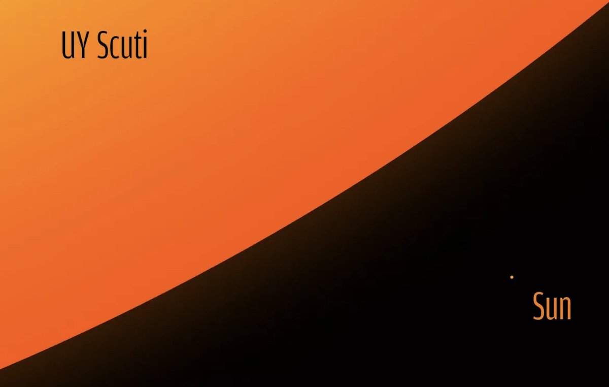 The biggest observed star is UY Scuti, which is about 1,700 times larger than the sun.