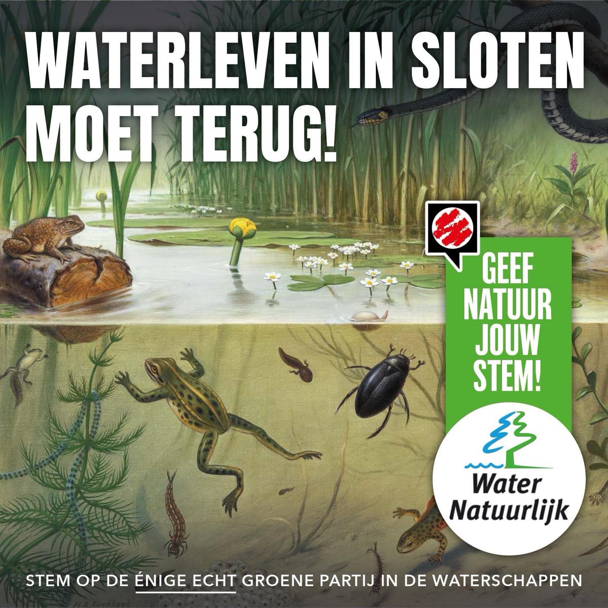 Nog een laatste stemadvies nodig? Stem dan groen💚 zowel voor provincie als voor waterschap.
Ik ben kandidaat 11 van water natuurlijk lijst 4
Mooie dag! 👋         #GaStemmen #stemgroen #stemwaternatuurlijk #elkestemtelt
