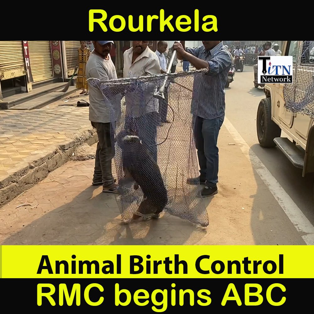 TitnRourkela's tweet photo. RMC begins Animal Birth Control (ABC) program in Rourkela.. Watch full video on Youtube👇
.
https://t.co/i9vf5xA428
.
#TrendingNow #NewsUpdate #rourkela #dailynewsupdate #todaynews #RMC #news @PetaIndia @peta @rajaaswain https://t.co/7lVOpTYIQP