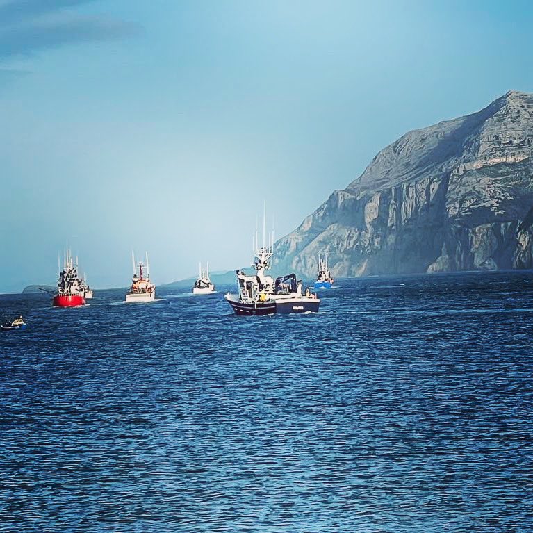 ConservasDMingo's tweet photo. Buenos días ⚓️🐟💢 .
Los Barcos saliendo a Faenar, ayer por la tarde en la Bahía de Santoña. ⚓️💢🐟👋 #BuenosDíasATodos #conservasdmingocrew #FelizMiercoles #work #santoña #anchoas #anchoasdesantoña #cantabria #faenar #pescadofresco #pedcadores https://t.co/EAF7Odun66
