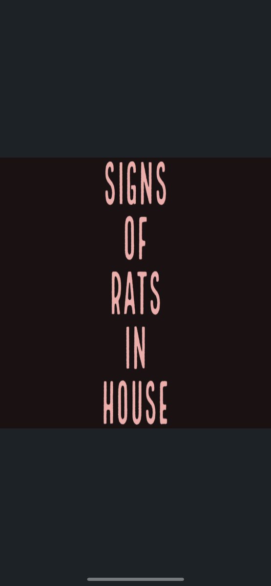 Rapid Rodent Removal tweet media
