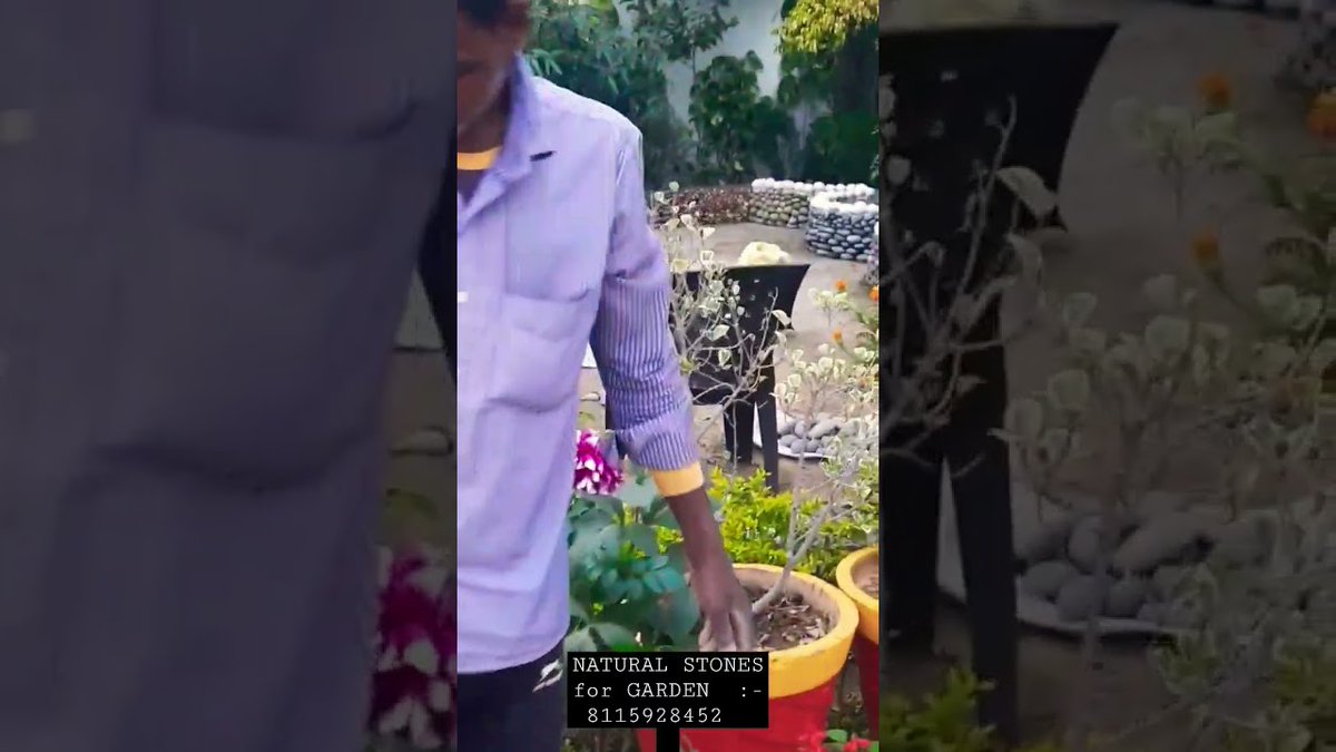 AllForGardening's tweet image. Natural garden Design for garden
 
#CareTips #GardenCare #GardenCareAndTips #GardenDesign #NaturalGarden
 
allforgardening.com/419717/natural…