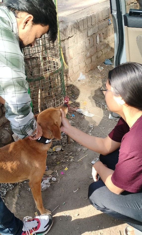 Alike us humans, animals are a part of this world too! So let's save them and if nothing then let them live! 

#saynotoanimalabuse