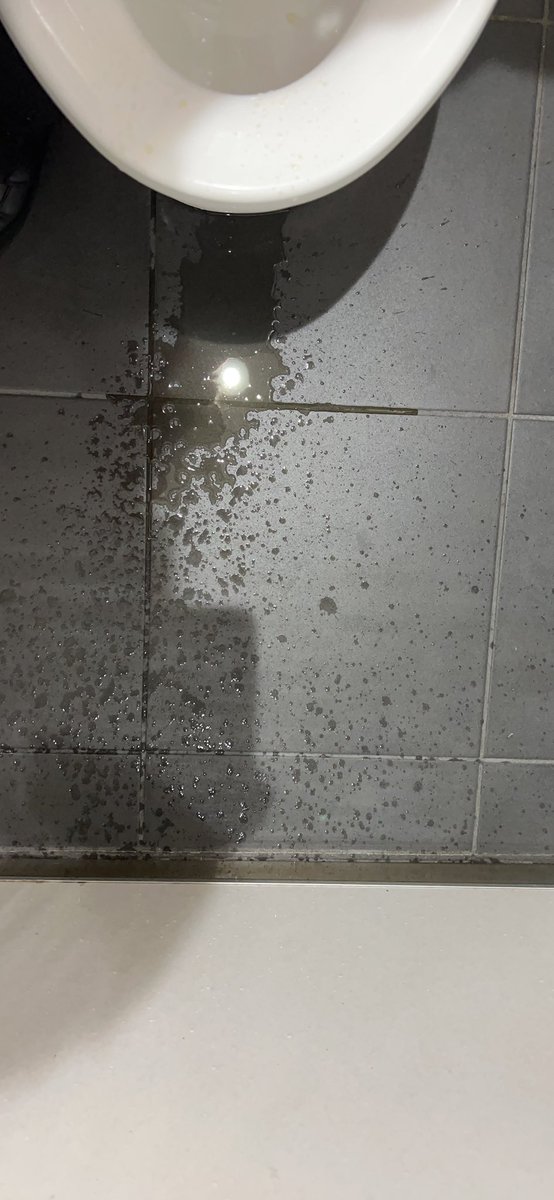 mirei_dm_'s tweet photo. 駅のトイレで小便撒き散らしてきたぶひぃ https://t.co/ryrnWwwWrS