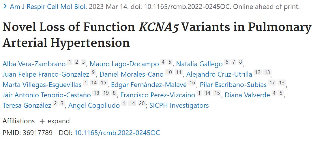 PPVessels's tweet photo. It is a great pleasure to share with you the new study based on the "Novel Loss of Function KCNA5 Variants in Pulmonary Arterial Hypertension" 🫁💊💙

https://t.co/efKiSASxcv https://t.co/jJtcbHMGZc