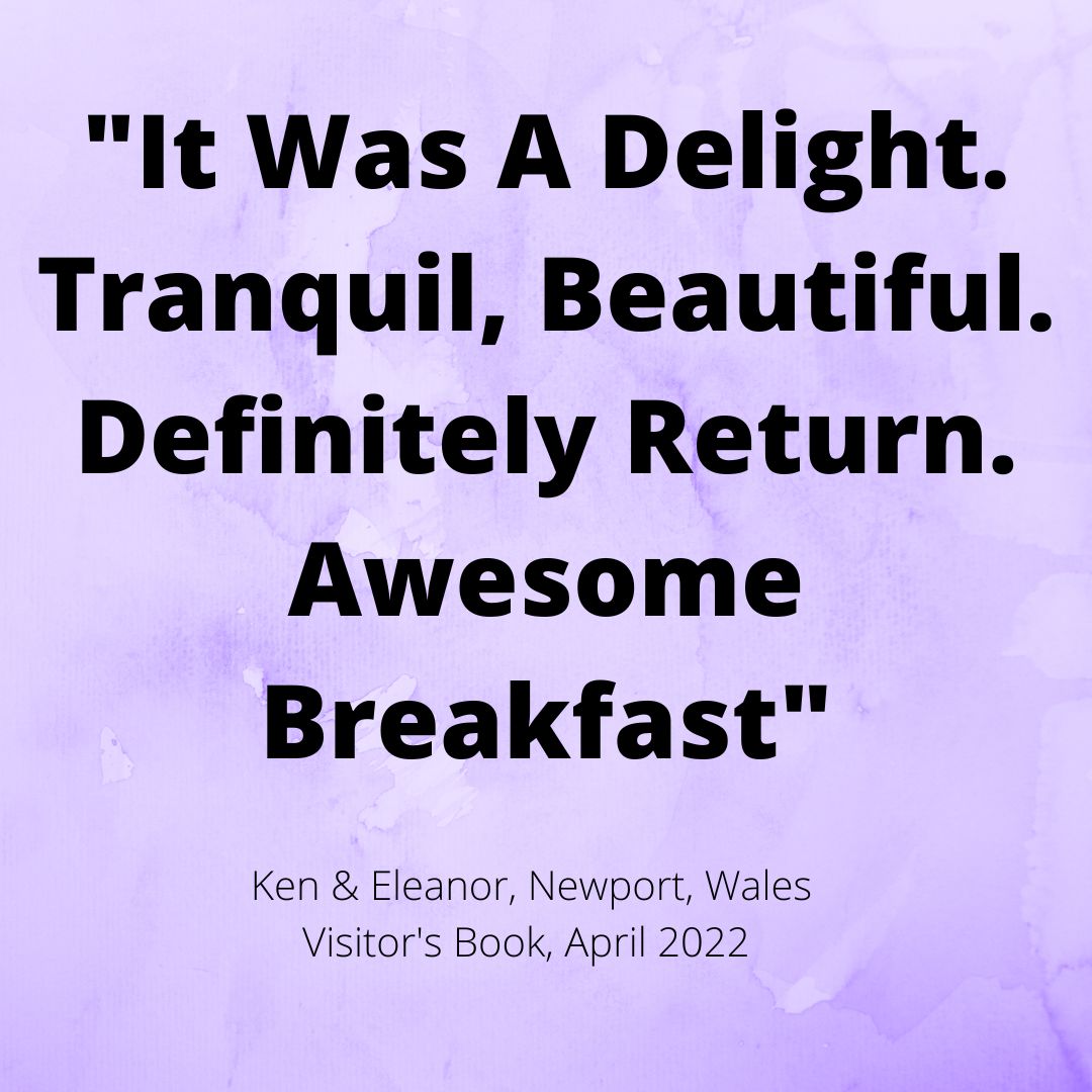 KnollHillFarm's tweet image. 🔷 "It Was A Delight ... "
A delightful review from some lovely guests.
&amp;gt; Discover more about us at: theplacetostaysomerset.co.uk

#earlybiz #springbreaks #weekendbreaks #staycations #getaways #bedandbreakfast