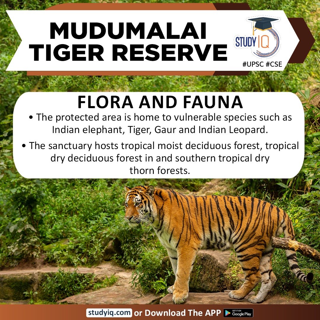upsciq's tweet photo. Mudumalai Tiger Reserve
#mudumalaitigerreserve #whyinnews #indiandocumentary #theelephantwhisperers #tigerreserve #oscaraward #mudumalainationalpark #niligirihills #tamilnadu #karnataka #kerala #wildlifeprotectionact #elephant #tiger #leopard #forests #southeastasia #iucn https://t.co/KOPTnZpc4y