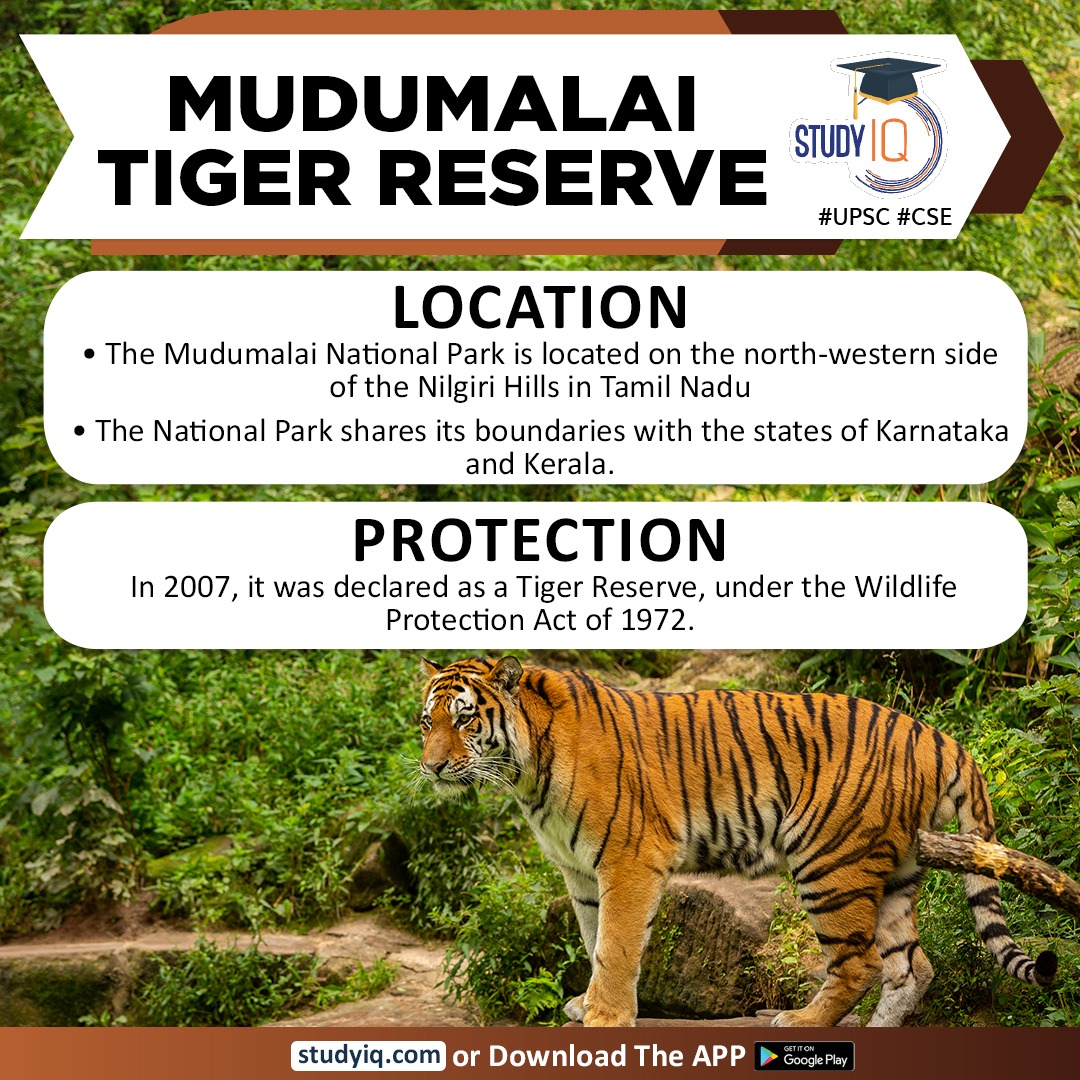 upsciq's tweet photo. Mudumalai Tiger Reserve
#mudumalaitigerreserve #whyinnews #indiandocumentary #theelephantwhisperers #tigerreserve #oscaraward #mudumalainationalpark #niligirihills #tamilnadu #karnataka #kerala #wildlifeprotectionact #elephant #tiger #leopard #forests #southeastasia #iucn https://t.co/KOPTnZpc4y
