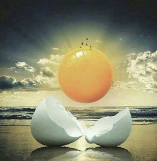 Good Morning…☀️

“The past is a place of reference, not a place of residence; the past is a place of learning, not a place of living.”

Roy T. Bennett

Have a lovely day in the here &amp; now. You are blessed with a new day every morning that you awake. Value it. Use it. Live it.💜