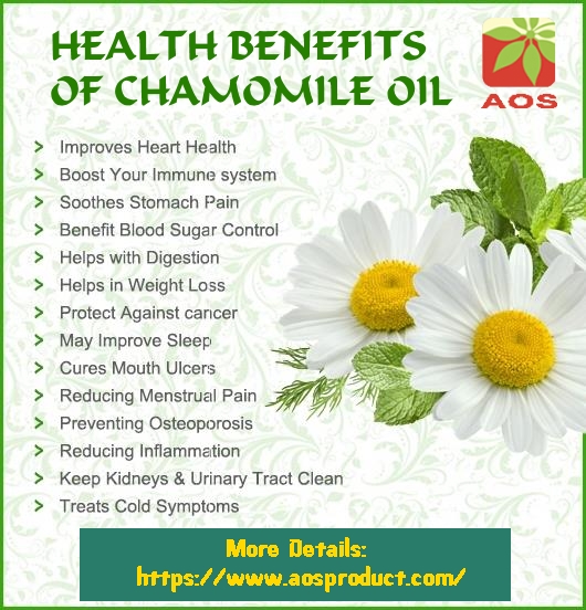 aosproductindia's tweet photo. Chamomile Oil has numerous health benefits as:
➥ It soothes Stomach Pain
➥ it Reduces Inflammation
➥ It improves Heart Health
➥ It reduces Menstrual Pain.
More Details: https://t.co/bMBnhy7fQU
#HairOil #SkinOil #chamomileoil #anxietyrelief
#healingwounds #FoodGrade https://t.co/ntMaBAvr6T
