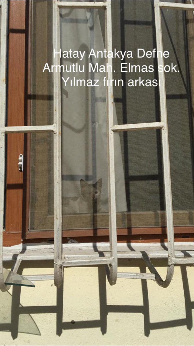 Masum Gözler tweet media