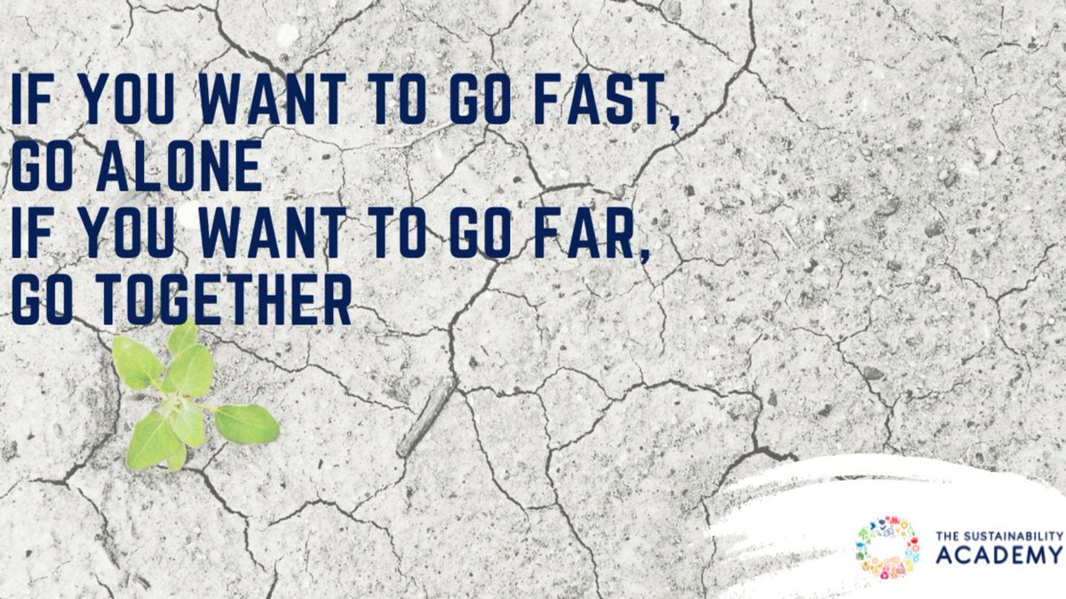 Read our blogpost on how we can't just leave sustainability to the professionals;

thesustainabilityacademy.co.uk/blog/why-shoul…

#ClimateAction #Education #ActNow 

<a href="/UNRIC_UK_IRE/">UN in UK and Ireland</a>