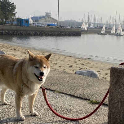 #新しいプロフィール画像