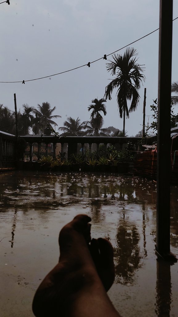 payel002saha's tweet photo. #First_rain #love
🌧❤😌 https://t.co/KPt8cd5Drn