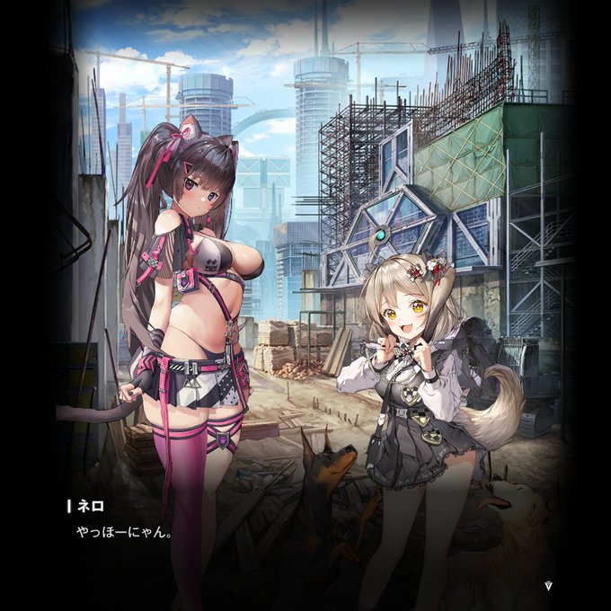 うおっ!!!公序良俗に反する猫!!! 