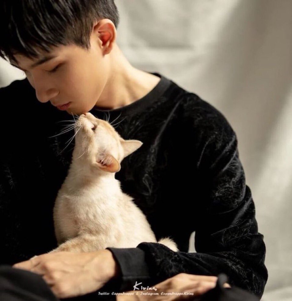 exploreboi's tweet photo. Kitties love me, see? They give me snoot boops 🥺🥺 https://t.co/DNHWd2kCxf