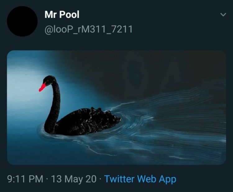 Stellar17Arya's tweet photo. Happy Ides of March!
What violent crime will be attempted today? π©Έπ§
I posted about the Trump connections that Mr Pool showed for today. Where is DJT?
Today is 48wks 48days since the start of the war #Code48
Black swan today that ends the war on Friday?
π¦’
5/13πͺ3/15
TS 9:11pm https://t.co/Gyu0tWdl8K