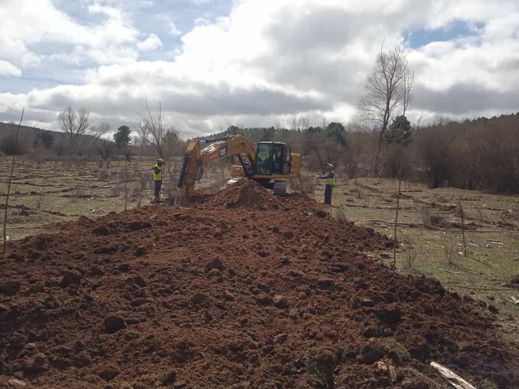 CederCiemat's tweet photo. Regeneramos la antigua plantación de chopos en la finca Valverde del CEDER-CIEMAT. Con criterios de sostenibilidad @PEFCSpain mediante plan de ordenación forestal aprobado por la @jcyl y con la colaboración de @tragsa y @agrestascoop https://t.co/TAfU8tofym
