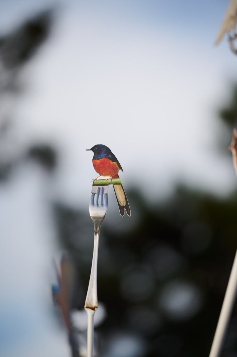 Fond_Casoli's tweet photo. “MARSHY è un luogo da vivere, uno spazio creato per chi lo attraversa ogni giorno, per pensare, per prendere decisioni, per astrarsi nei momenti di pausa dal lavoro, per riflettere bevendo un caffè.” 

〰️Eugenio Tibaldi x Premio Ermanno Casoli 2022 
A cura di @Marcellibus https://t.co/loaGRxW7t2
