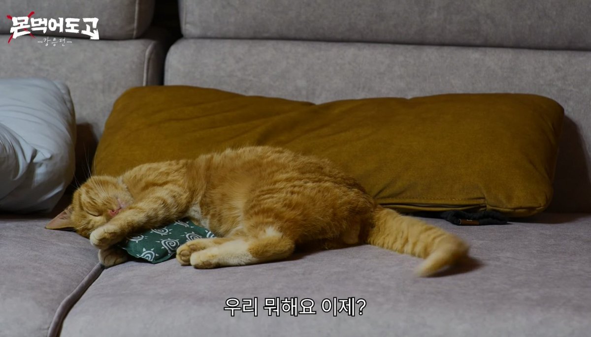 Bellamonbebe7's tweet photo. Can I have this one?, 🦋💖💗🥰

#munmukgo #몬먹어도고 https://t.co/NECtu0Vj7f