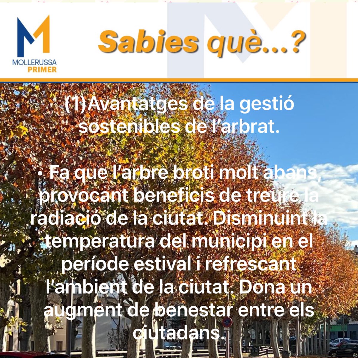 MollerussaPrimer tweet media