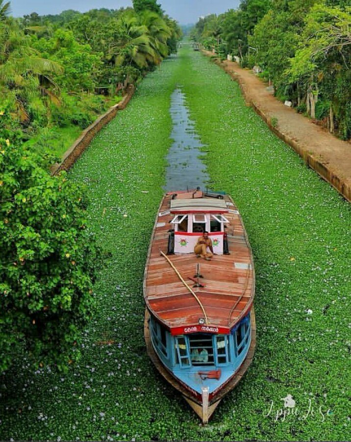 ColoursOfWorld1's tweet photo. 10 Offbeat Destinations in India that every Indian must try to visit in 2023

1. Kerala Backwaters, Kottayam https://t.co/C4b5mZF4MV