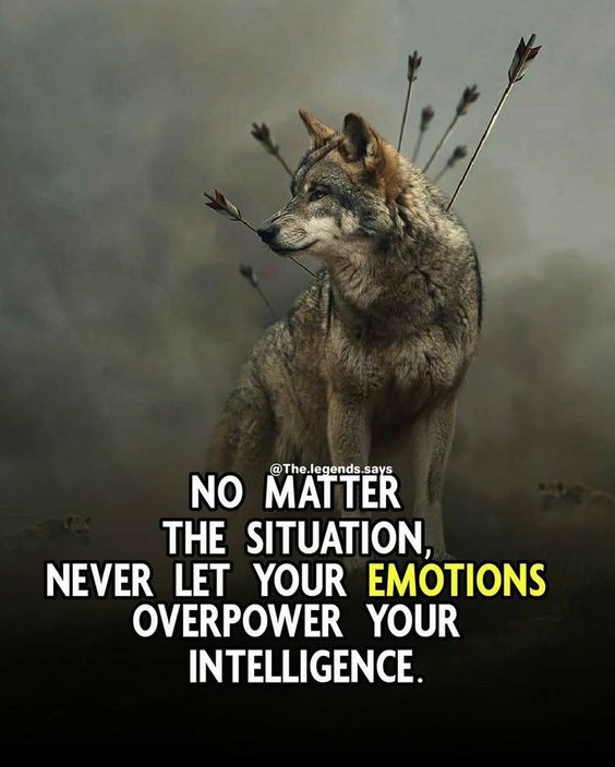 Sammens's tweet photo. Copy this... Thank me later. https://t.co/nidrIUqSdP