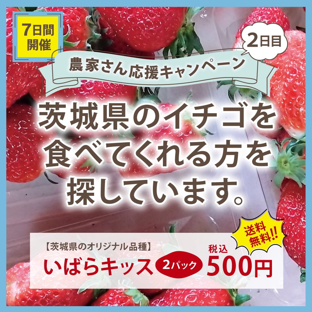 losshelp_jp's tweet photo. 【農家さん応援キャンペーン2日目スタート！】

昨日スタートしてからたくさんの方にご応募いただき、ありがとうございます🍓✨

キャンペーンは7日間開催。
期間中は毎日ご応募が可能ですよっ♪

ご応募はこちら👇
https://t.co/2eMAY1PF22 https://t.co/o5yLIdEED6