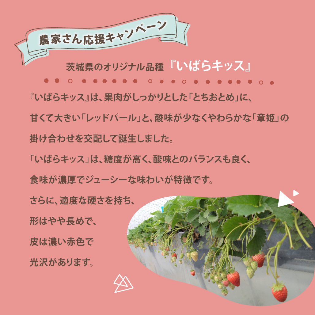 losshelp_jp's tweet photo. 【農家さん応援キャンペーン2日目スタート！】

昨日スタートしてからたくさんの方にご応募いただき、ありがとうございます🍓✨

キャンペーンは7日間開催。
期間中は毎日ご応募が可能ですよっ♪

ご応募はこちら👇
https://t.co/2eMAY1PF22 https://t.co/o5yLIdEED6