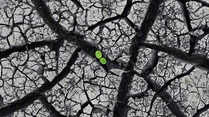 Philipp Jordan tweet media