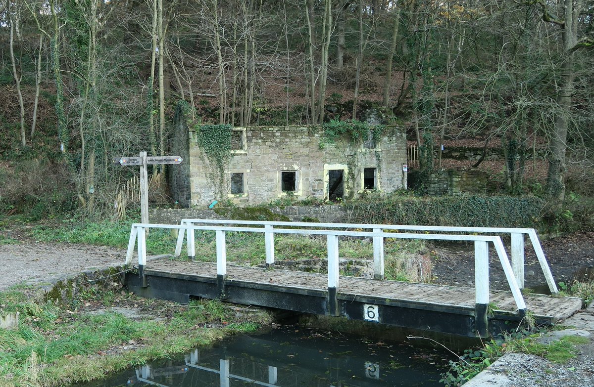 Gillian Foxcroft tweet media