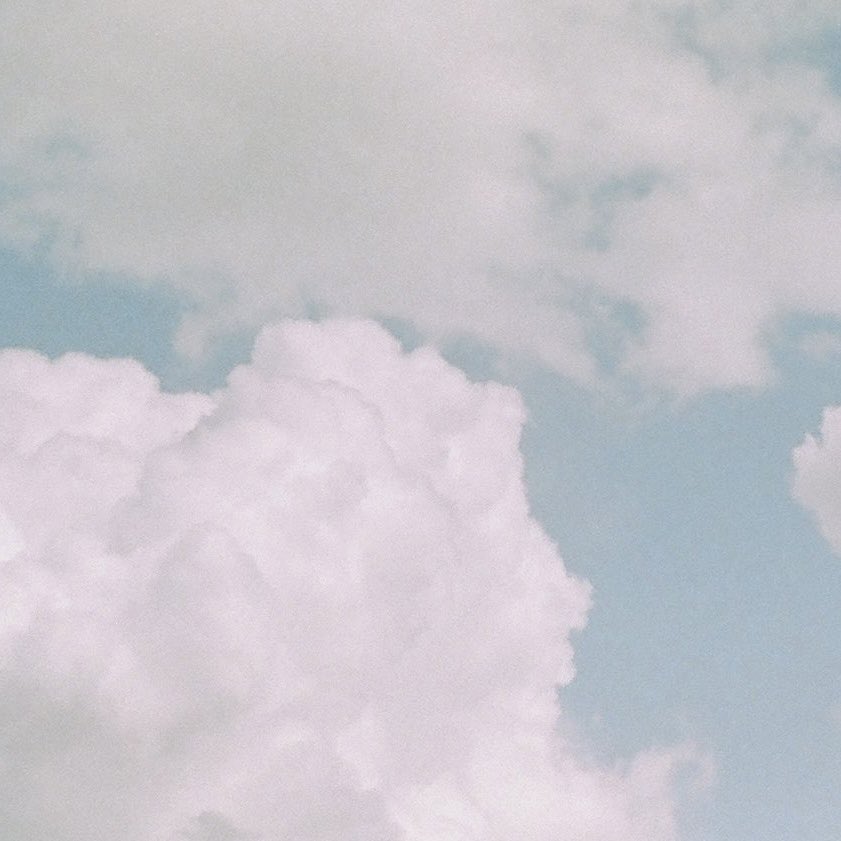 평소에는 도도한척 하지만 누구보다 야한말을 사랑해
#섹트 #펨섭 #레즈 #펫 #디그