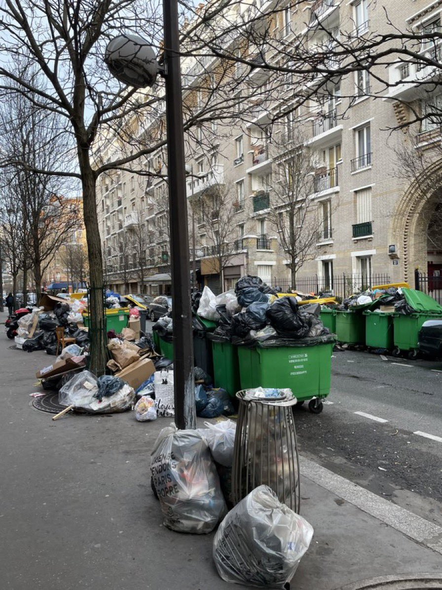 Charlotte Rocher tweet media