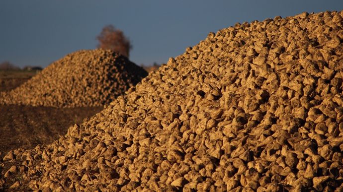 WebagriFR's tweet image. [Industrie sucrière] Les pulpes de betterave, un coproduit de plus en plus rare ? dlvr.it/SkvvPF #Coproduits