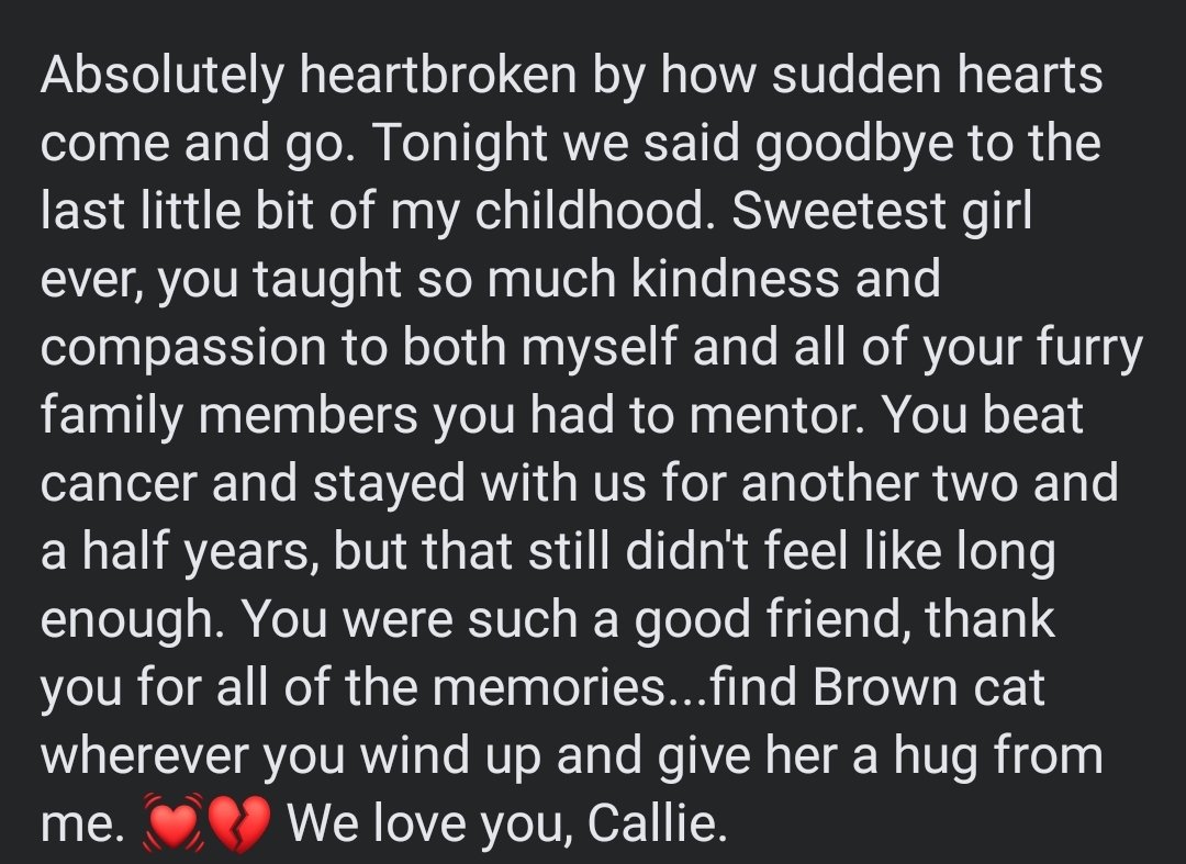 SRona_58's tweet photo. #RIPCallie https://t.co/QQv3ouKM0C