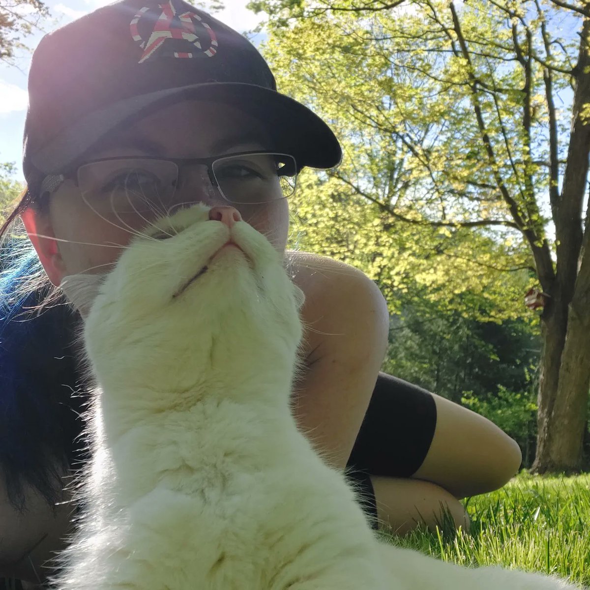 SRona_58's tweet photo. #RIPCallie https://t.co/QQv3ouKM0C