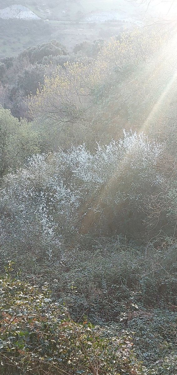 adjuntoausente's tweet photo. Sin prisa, pero meticuloso, el sol comienza a decorar la vida de primavera.
#ComparteTuPaseo https://t.co/njemSiNnj1