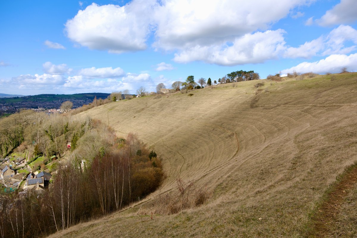 japanauthor's tweet photo. Four views of Bowl Hill taken today. #RodboroughCommon #Stroud #Cotswolds @megportal https://t.co/5VYNVR9ZLZ