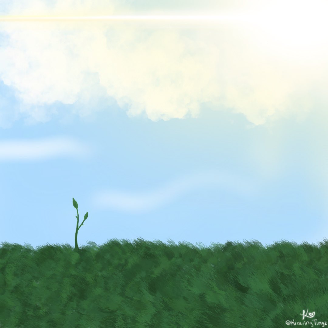 KreatingTingz's tweet photo. nature is so serene 🌱

🏷️
#kreatingtingz #art #springart #illustration #artist #spring #artistsoninstagram #artist #drawing #digitalart #flower #nature https://t.co/QiRHH0lKG3