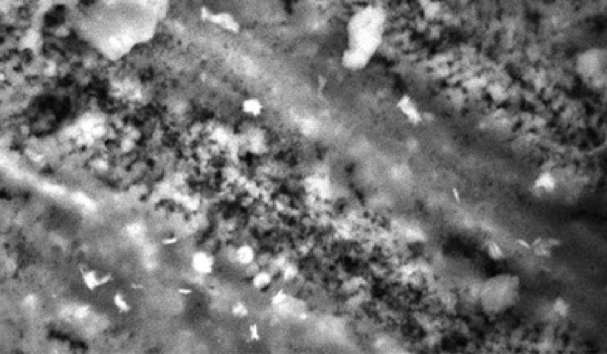 Loïc Bertrand tweet media