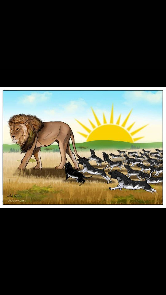 Köpeklerin havlaması aslanın gelişindendir...